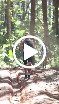 BIB:  <button type="button" onclick="openModal(26569357)" class="btn btn-primary btn-sm float-right" data-toggle="modal" data-target=".modal-high-quality">
                <i class="fa fa-download"></i> Download
                </button>